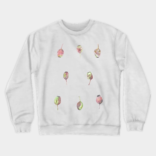 Gumnuts Watercolour Crewneck Sweatshirt by WinterOwls